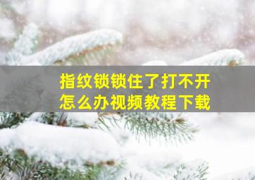 指纹锁锁住了打不开怎么办视频教程下载