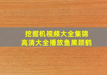 挖掘机视频大全集锦高清大全播放鱼黑颈鹤