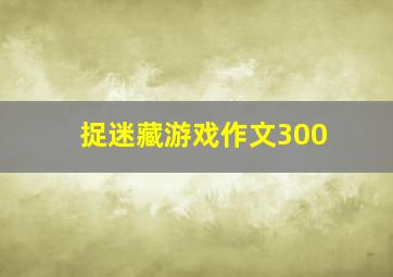 捉迷藏游戏作文300