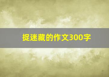 捉迷藏的作文300字