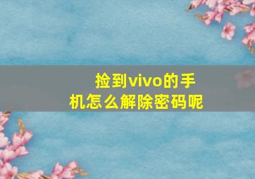 捡到vivo的手机怎么解除密码呢