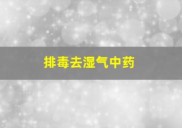 排毒去湿气中药