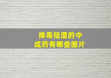 排毒祛湿的中成药有哪些图片