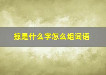 掠是什么字怎么组词语