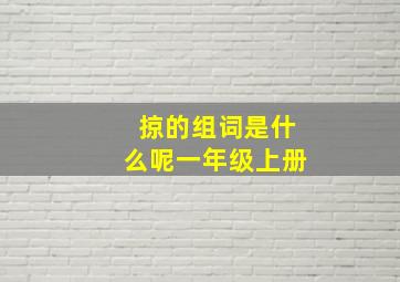 掠的组词是什么呢一年级上册