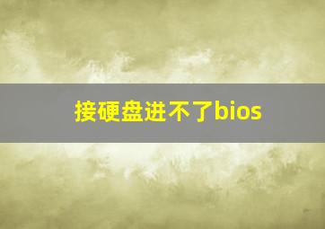 接硬盘进不了bios