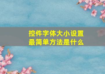 控件字体大小设置最简单方法是什么