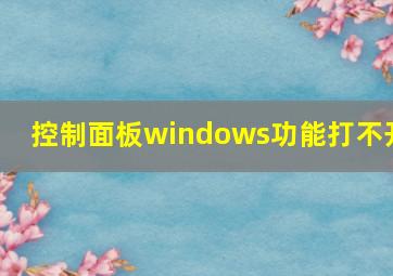 控制面板windows功能打不开