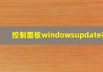 控制面板windowsupdate在哪