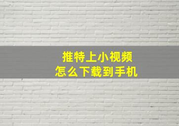 推特上小视频怎么下载到手机