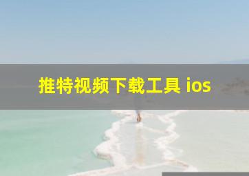 推特视频下载工具 ios