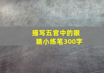 描写五官中的眼睛小练笔300字