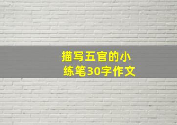 描写五官的小练笔30字作文