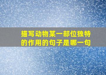 描写动物某一部位独特的作用的句子是哪一句