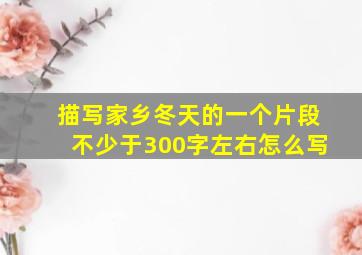 描写家乡冬天的一个片段不少于300字左右怎么写