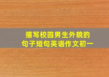 描写校园男生外貌的句子短句英语作文初一