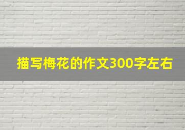 描写梅花的作文300字左右