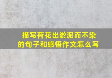 描写荷花出淤泥而不染的句子和感悟作文怎么写