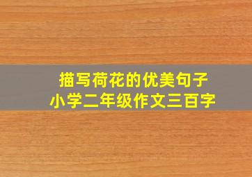 描写荷花的优美句子小学二年级作文三百字