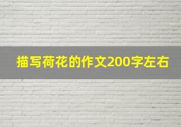 描写荷花的作文200字左右