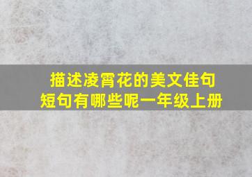 描述凌霄花的美文佳句短句有哪些呢一年级上册