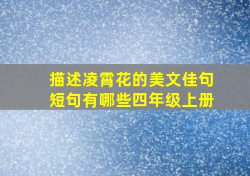 描述凌霄花的美文佳句短句有哪些四年级上册