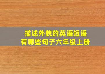 描述外貌的英语短语有哪些句子六年级上册