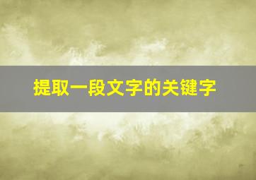 提取一段文字的关键字