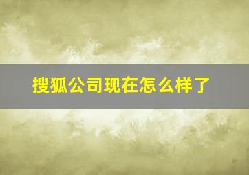 搜狐公司现在怎么样了