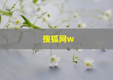 搜狐网w