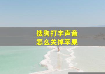 搜狗打字声音怎么关掉苹果