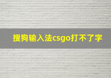 搜狗输入法csgo打不了字