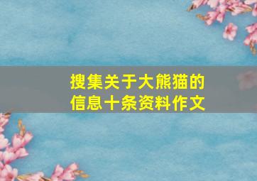 搜集关于大熊猫的信息十条资料作文