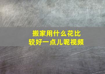 搬家用什么花比较好一点儿呢视频