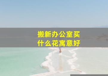 搬新办公室买什么花寓意好