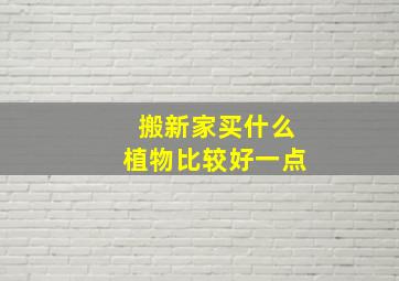 搬新家买什么植物比较好一点