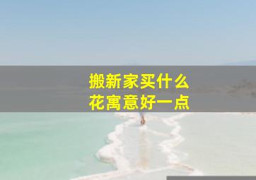 搬新家买什么花寓意好一点