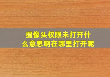 摄像头权限未打开什么意思啊在哪里打开呢