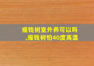 摇钱树室外养可以吗,摇钱树怕40度高温