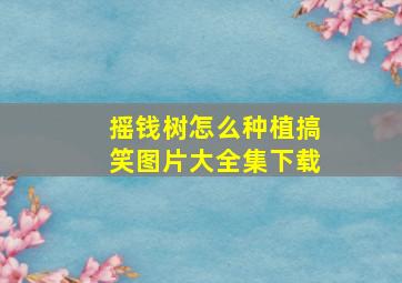 摇钱树怎么种植搞笑图片大全集下载