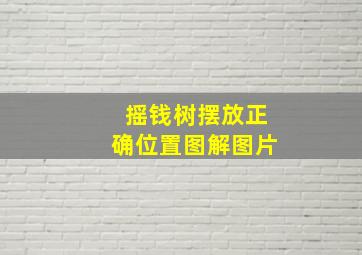 摇钱树摆放正确位置图解图片