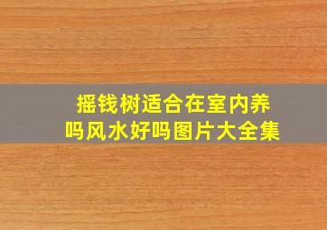 摇钱树适合在室内养吗风水好吗图片大全集