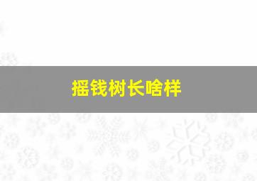 摇钱树长啥样