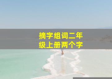 摘字组词二年级上册两个字