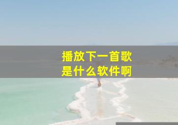 播放下一首歌是什么软件啊