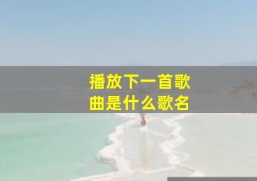 播放下一首歌曲是什么歌名