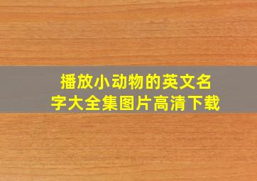 播放小动物的英文名字大全集图片高清下载