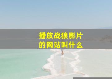 播放战狼影片的网站叫什么