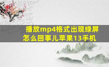 播放mp4格式出现绿屏怎么回事儿苹果13手机