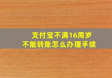 支付宝不满16周岁不能转账怎么办理手续